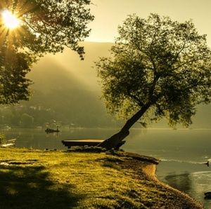 Meet your Posher, Botros